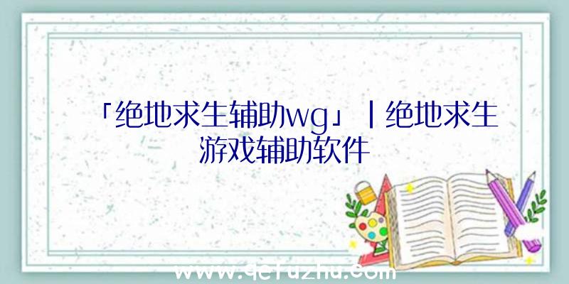 「绝地求生辅助wg」|绝地求生游戏辅助软件